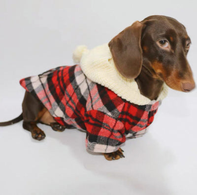 Camisa Cuadriculada para Perros - Ropa Adorable y Cómoda - Image 4