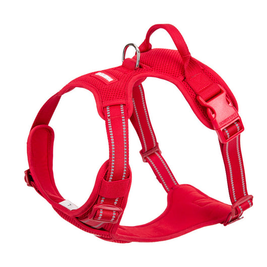 Chaleco de Lana Teddy Co Fund con Correa de Pecho - Image 10