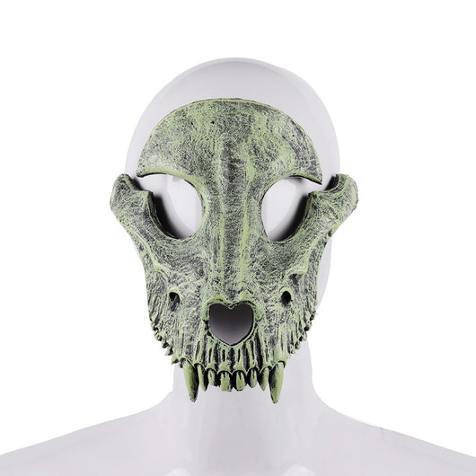 Calavera de Hueso de Oveja para Decoración - Image 9
