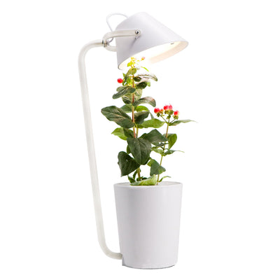 Sistema de Cultivo Hidropónico Automático - Image 14