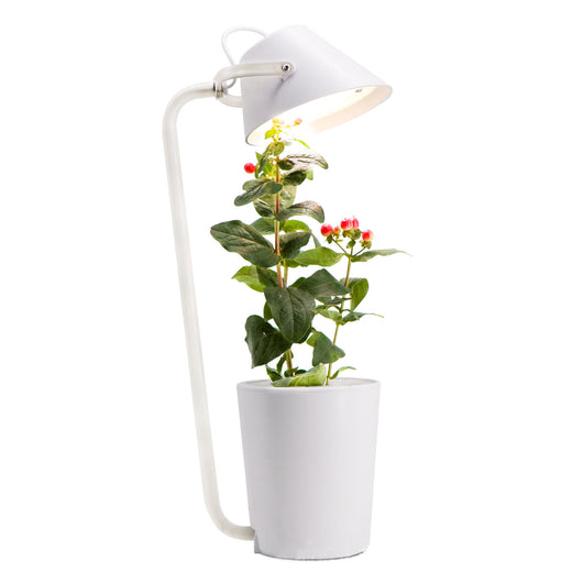 Sistema de Cultivo Hidropónico Automático - Image 14
