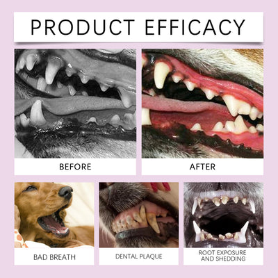 Spray Limpiador de Dientes para Mascotas - Image 10