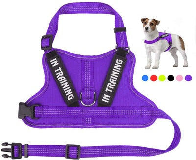Arnés Personalizado para Mascotas - Image 3