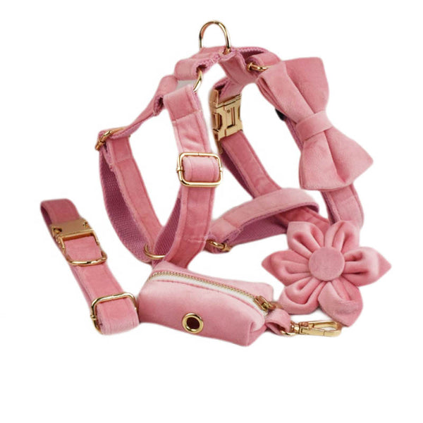 Collar de Terciopelo para Perros - Diseño Elegante y Cómodo