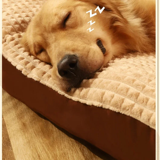 Cama Térmica para Perros con Manta Fleece Desmontable - Colchón Cómodo para Mascotas Pequeñas, Medianas y Grandes - Image 17