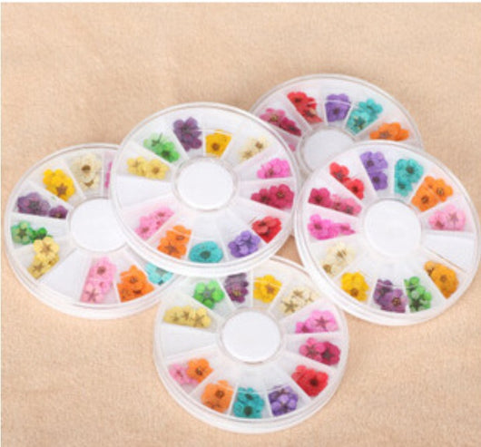 Joyería para Uñas con Flores Secas Naturales - Image 2