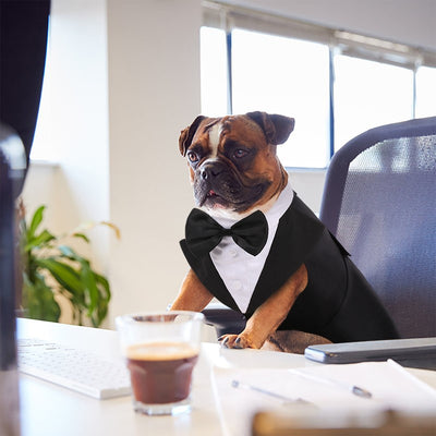 Traje Elegante con Pajarita para Perros - Image 16