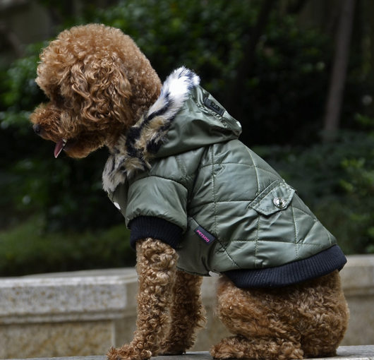Abrigo para Perros Otoño-Invierno con Cuello de Piel - Ropa Térmica Importada