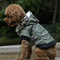 Abrigo para Perros Otoño-Invierno con Cuello de Piel - Ropa Térmica Importada