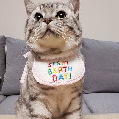Pañoleta Triangular para Mascotas - Bandana Festiva para Gatos y Perros - Image 11