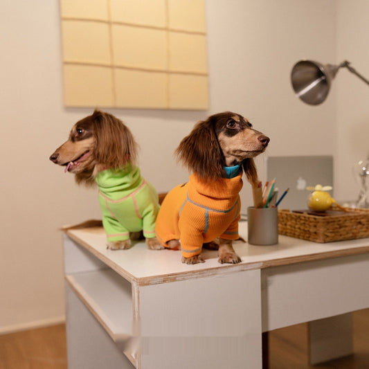 Suéter Tipo Waffle para Perros Salchicha - Abrigo Versátil Todas las Estaciones - Image 2