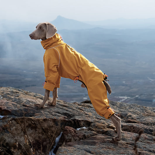 Abrigo Impermeable para Perros Grandes con Cuello Alto y Protección Térmica
