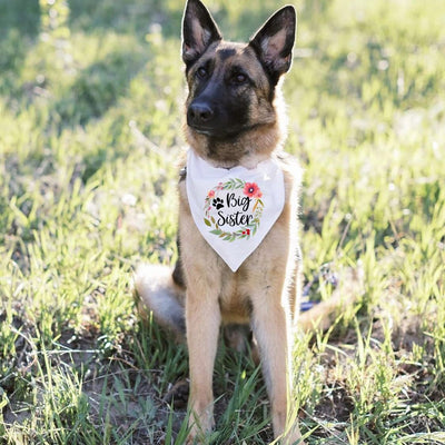 Pañuelo Triangular para Mascotas en Bodas y Eventos