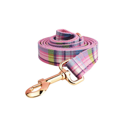 Collar y Correa de Tracción para Perros Qicaigei - Image 7