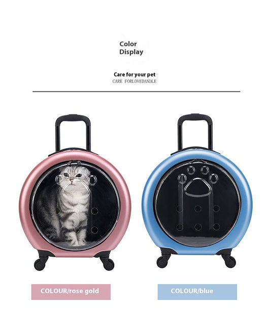 Bolsa Transportadora Transparente Reforzada para Mascotas - Gatos y Perros - Image 26