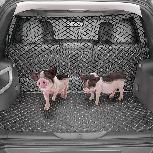 Black mesh dog protective net installed in a silver hatchback trunk, separating a golden retriever from the front seats. - Image 5