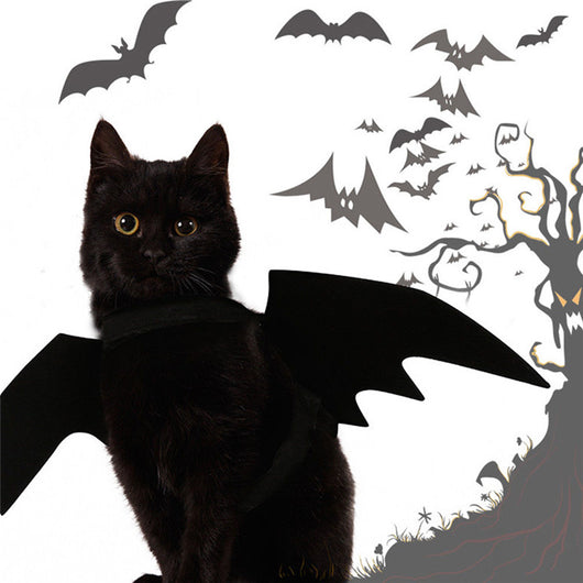 Alas de Murciélago para Mascotas - Disfraz Halloween para Gatos y Perros Pequeños - Image 13
