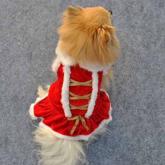 Falda Clásica Roja Navideña para Mascotas - Image 5