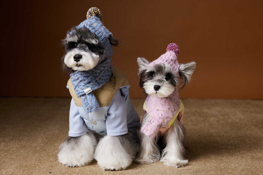 Chaleco Acolchado de Invierno para Perros Pequeños - Teddy, Schnauzer, Bichón - Image 19