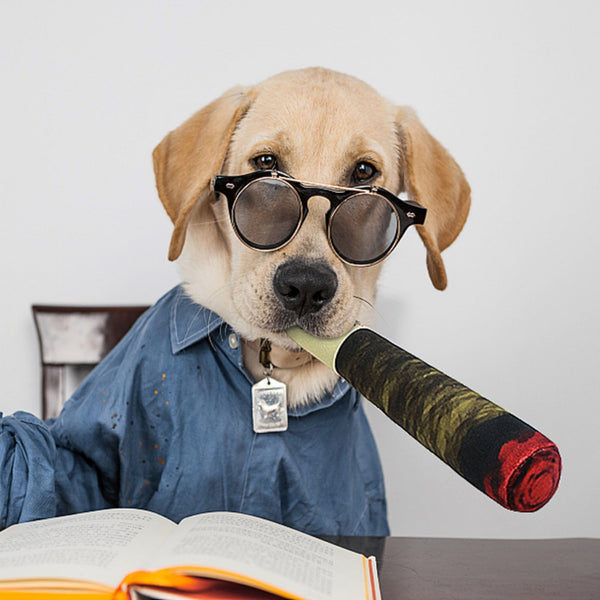 Juguetes para Perros - Bromas Divertidas con Cigarrillos Falsos