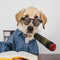 Dog Toys - Fun Pranks with Fake Cigarettes