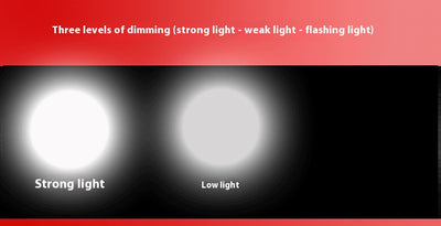 Linterna UV Portátil con Luz Negra - Detector de Fluorescencia y Autenticación - Image 14