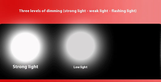 Linterna UV Portátil con Luz Negra - Detector de Fluorescencia y Autenticación - Image 14