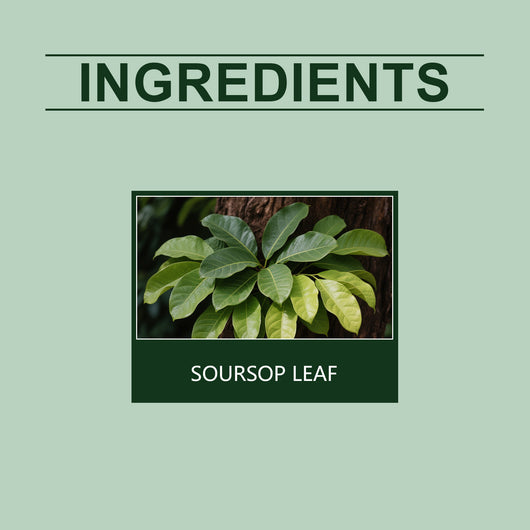 Té de Tuna y Hoja de Lichi - Infusión Natural Premium - Image 8