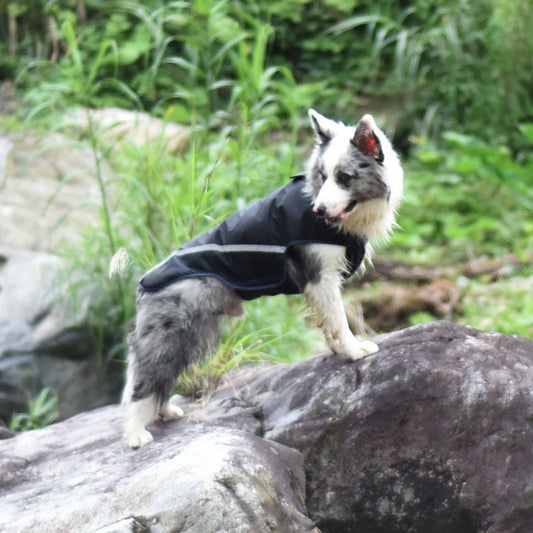Impermeable para Perros con Protección Repelente al Agua