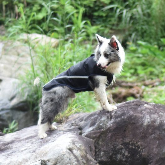 Impermeable para Perros con Protección Repelente al Agua
