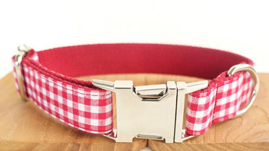 Collar Antihalón para Perros