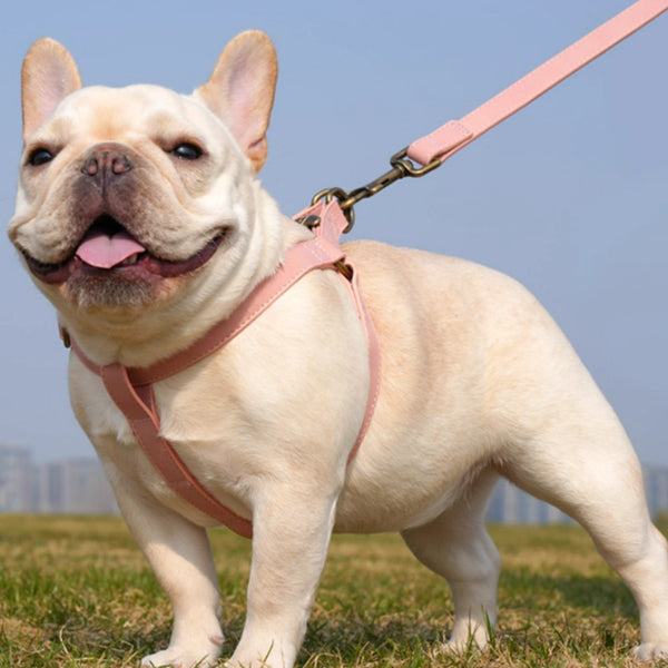 Arnés Chaleco para Perros Pequeños y Medianos