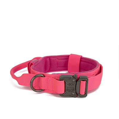 Collar Ajustable para Perro con Cierre Rápido de Entrenamiento - Image 10