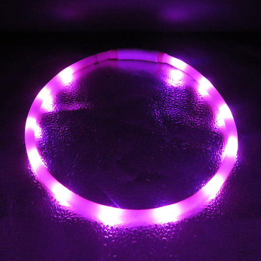 Collar Luminoso Antiextravío para Perros Grandes - Seguridad Visible - Image 4