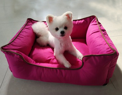 Cama Cuadrada de Colores Pastel para Perros Pequeños y Medianos