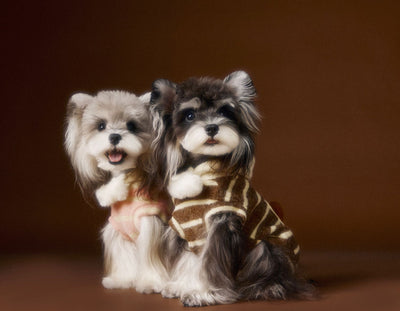 Suéter Acogedor de Galleta Felt para Mascotas - Otoño e Invierno - Image 7