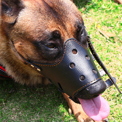 Bozal Ajustable Antimordia para Perros Pequeños