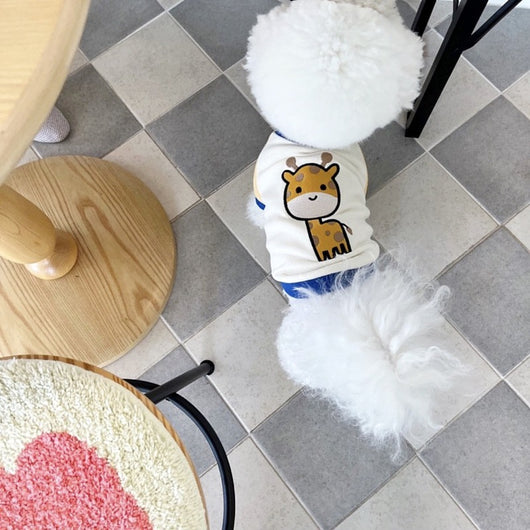 Suéter Teddy para Gatos y Mascotas Pequeñas Bixin - Image 8