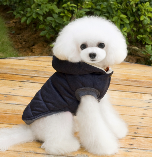 Abrigo de Invierno para Mascotas Pequeñas con Diseño de Bigote - Image 13