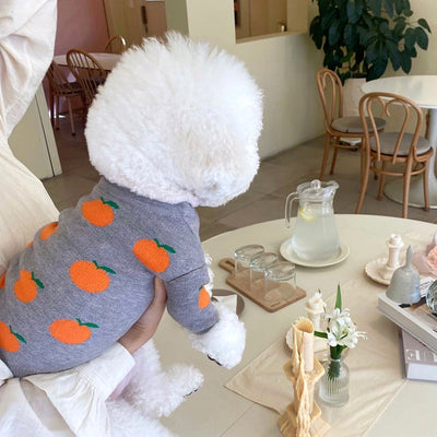 Suéter Tejido para Mascotas Bomei - Abrigo Otoño e Invierno - Image 14