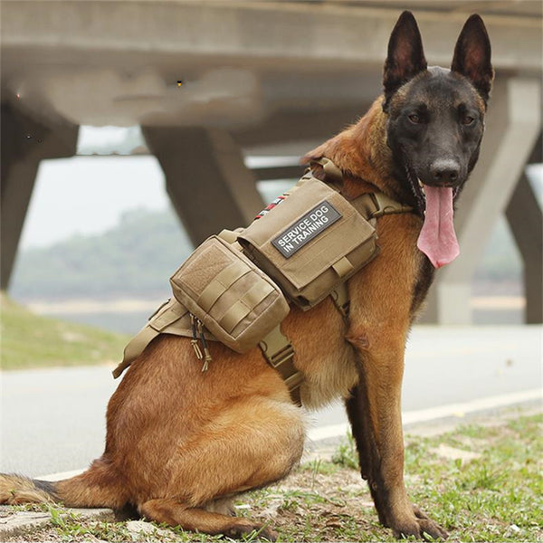 Arnés Táctico Militar para Perros con Sistema Molle Ajustable
