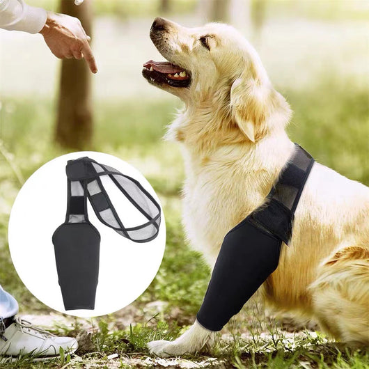 Protector de Patas para Perros con Soporte de Rodilla y Correas Ajustables - Image 14