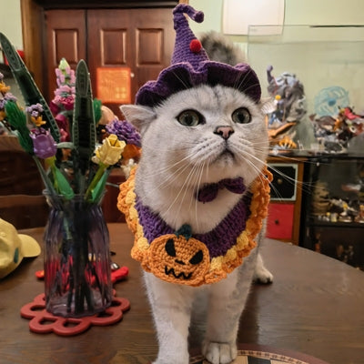 Bufanda Triangular de Lana con Estampado de Perros y Gatos - Image 16