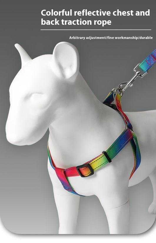 Arnés Colorido con Correa para Perros - Diseño Creativo y Seguro - Image 12