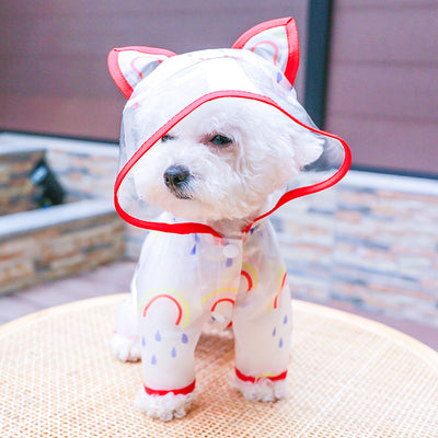 Impermeable Transparente Arcoíris para Perros - Image 9
