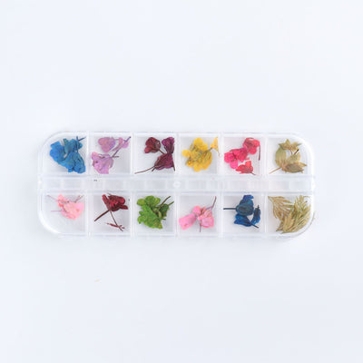 Kit de Flores Secas para Decoración de Uñas - 12 Compartimentos con Margaritas y Flores Silvestres Reales - Image 3