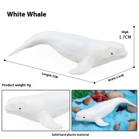Juego Educativo de Animales Marinos Realistas para Niños - Image 41