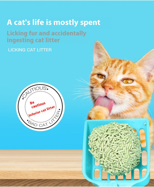 Arena para Gatos de Té Verde Tofu - Absorbente y Desodorizante - Image 9