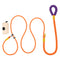 Orange Dog Poop Bags 2.5 M