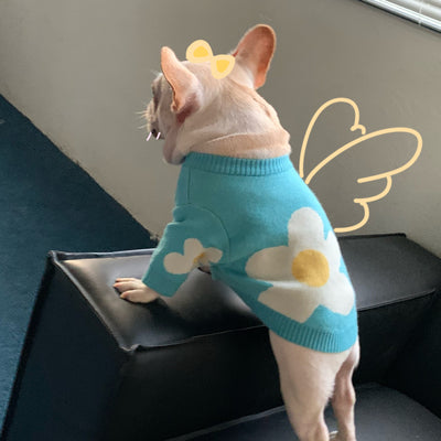 Ropa de Moda para Mascotas - Colección Perros y Gatos - Image 4